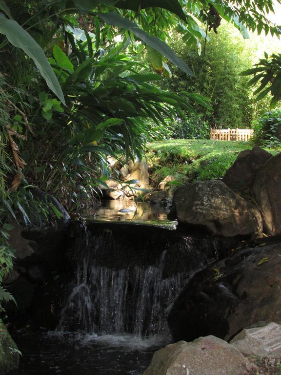 The Haven - Hotel & Spa, - Adults Only Boquete Ngoại thất bức ảnh