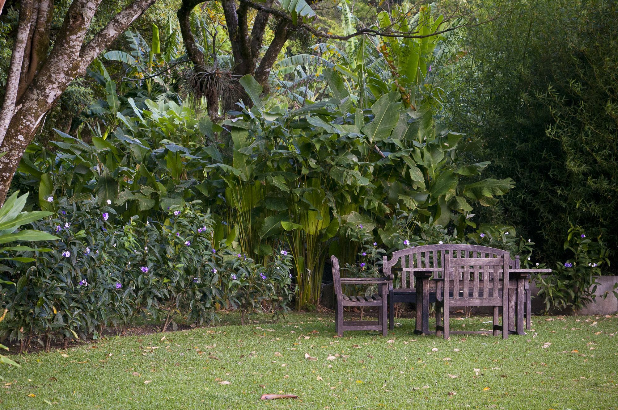 The Haven - Hotel & Spa, - Adults Only Boquete Ngoại thất bức ảnh